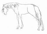 Spirit Horse Lineart Coloring Stallion Style Drawing Cimarron Pages Deviantart Library Clipart Mane Getdrawings Popular sketch template
