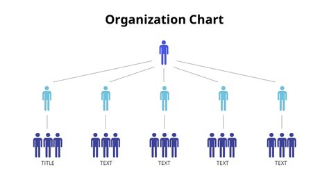 organization hierarchy chart