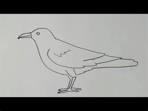draw  crow crow drawing step  step kids topic youtube