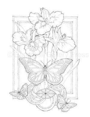 jody bergsma coloring pages  jacquelineherriott coloring pages