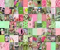 Risultato immagine per Pink Green object. Dimensioni: 121 x 100. Fonte: ubicaciondepersonas.cdmx.gob.mx