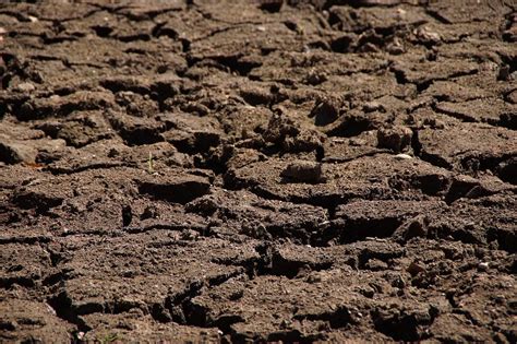 photo drought dry nature dehydrated  image  pixabay