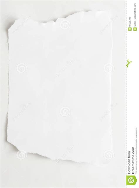 torn sheet blank ripped paper piece stock photo image  blank