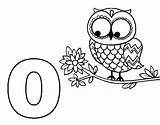 Owl Coloring Coloringcrew sketch template