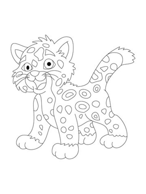 gambar baby jaguar coloring page  printable pages click version