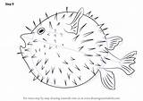 Pufferfish Fishes Necessary Improvements Drawingtutorials101 sketch template