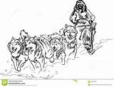 Sled Dog Dogs Coloring Alaskan Clipart Pages Race Team Stock Iditarod Sledding Dreamstime Musher Husky Drawing Color Illustration Kids Drawings sketch template