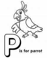 Letter Parrot Coloring Print English sketch template