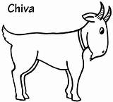 Chiva Chivas Chivo Facil Chivos sketch template