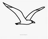 Seagull Clipartkey sketch template