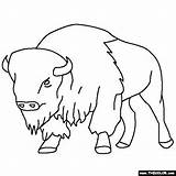 Bison Buffalo Coloring Pages Kids Drawing Drawings Animal Printable Outline Color Silhouette Ny Template Bills Sketch Clipart Books Animals Book sketch template