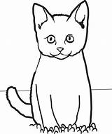 Cat Coloring Pages Printable Easy Grass Sitting Funny Kids Simple Cats Cartoon Scary Drawing Colouring Color Getcolorings Kitty Sheets Getdrawings sketch template