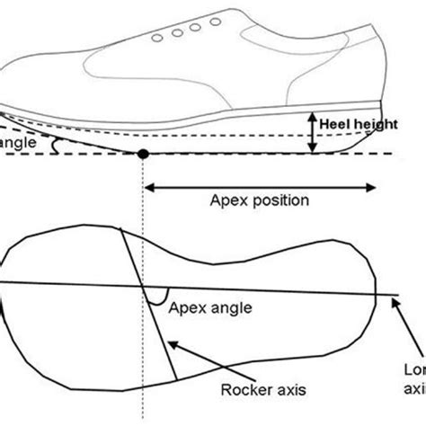 apex position rocker angle  apex angle   rocker shoe  scientific diagram