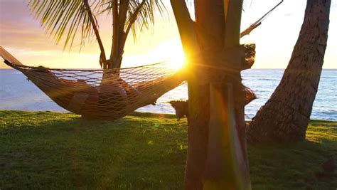 Romantic Couple Relaxing In Tropical Hammock At Sunset