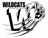 Wildcat Mascot Clipart Wildcats School Clip Shirts Basketball Paw Spirit Logo Cartoon Coloring Drawing Kentucky Pages Cliparts Jpeg Football Designs sketch template