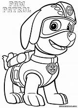 Paw Patrol Coloring Zuma Pages Printable Rocky Print Drawing Book Color Getcolorings Skye Getdrawings Popular Colo Colorings Pdf sketch template