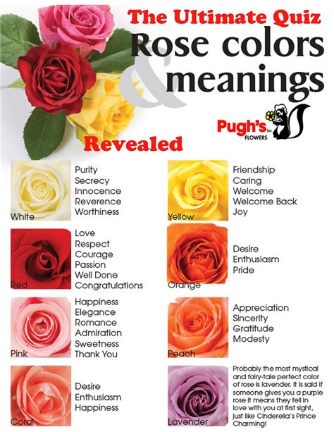 national rose month     colors  quiz answers