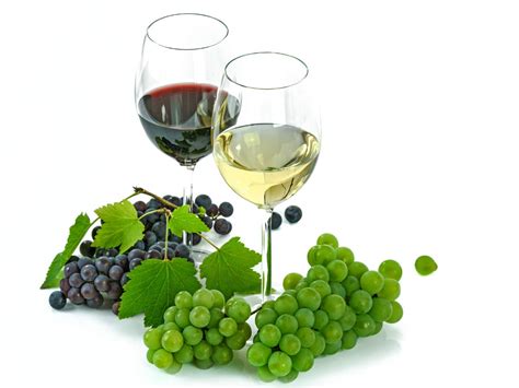 what are low carb wines the times of india