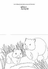 Wombat Colouring Coloring Scene Card Designlooter Australian Colour Animal Pages sketch template