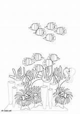 Corail Coloriages sketch template