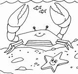 Crab Coloring Hermit Pages Color Print Printable sketch template