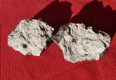 fall shergottite meteorites