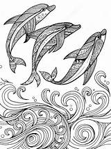 Dolphin Zentangle Mandala Dolphins Delfines Delfin Mandalas Olas Drawn Dibujados Tiere Patterns Pinnwand Auswählen sketch template