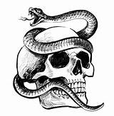 Slang Snake Schedel Schlange Schädel Skelett Knochen sketch template
