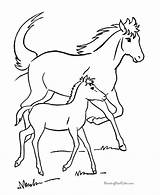 Horse Coloring Printable Pages Sheets sketch template