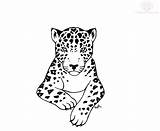 Jaguars Library Clipart sketch template