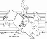 Bull Coloring Riding Pages Printable Bucking Color Print Pbr Miniature Cowboy Bulls Drawing Sheets Kids Books Popular Cow Coloringhome Sketch sketch template