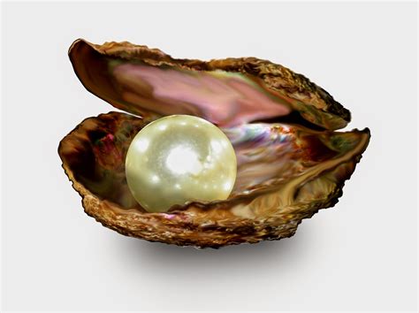 pearls folklore  healing properties pearlsonly save     pearls