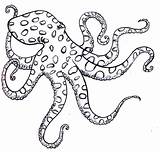 Octopus Drawing Simple Coloring Pages Illustration Outline Line Tattoo Sea Getdrawings Magda Lauren Octopuses Kids Google Pen Search Pattern Ocean sketch template