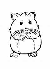 Coloring Pets Pet Pages Hamster Cute Kids sketch template