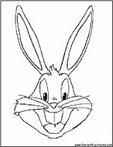 Bunny Bugs Coloring Pages Cartoons Drawing Printable Drawings Kb sketch template