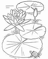 Kwiaty Kolorowanki Darmowe sketch template