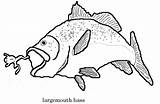 Bass Coloring Pages Largemouth Smallmouth Boat Fish Fishing Drawing Mouth Silhouette Color Jumping Getdrawings Water Getcolorings Book Popular Printable Unique sketch template