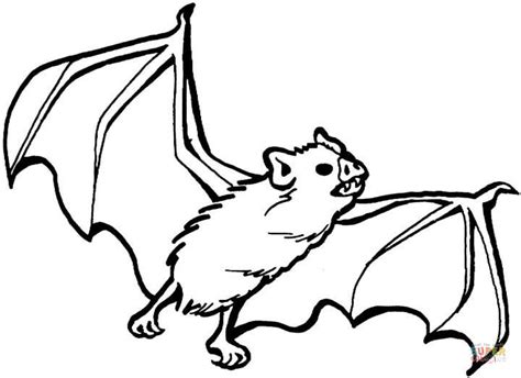 vampire bat coloring page  printable coloring pages