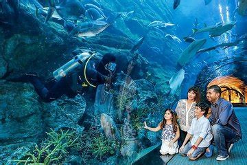 top  dubai sightseeing passes wprices