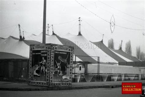 Circus Collection Circo Nazionale Darix Togni Milan Décembre 1963