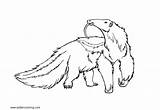 Anteater Lineart sketch template