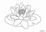 Lily Water Coloring Pad Clipart Flower Drawing Lilies Pages Drawings Lotus Flowers Kids Line Coloringpage Eu Pond Nénuphar Pads Color sketch template