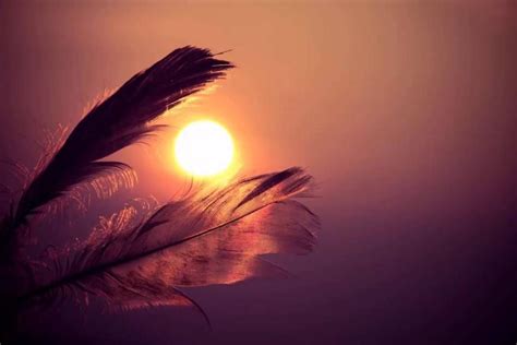 Native American Background ·① Download Free Stunning