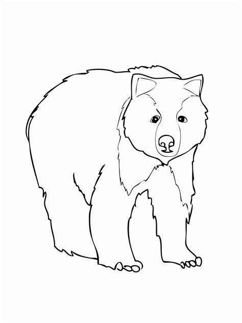 black bear coloring page clip art library