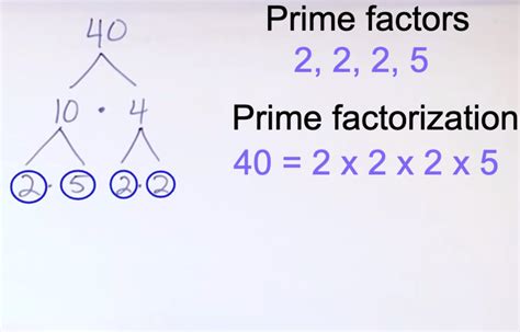 prime factorization   brainlycom