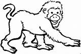 Affe Affen Ausmalbild sketch template