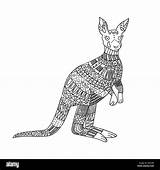 Kangaroo Stylized Ornamental Freehand sketch template