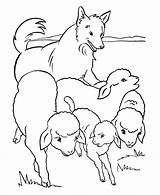 Coloring Sheep Farm Pages Dog Color Animal Flock Herd Kids Print Printable Animals Colouring Coloration Fun La Sheet Coloriage Activity sketch template
