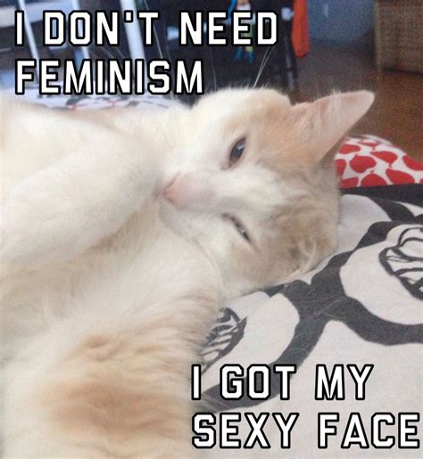 Berninger The Cat Worries That Feminism Will Take Away His Selfie