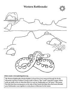 coloring habitats  animals images coloring pages life